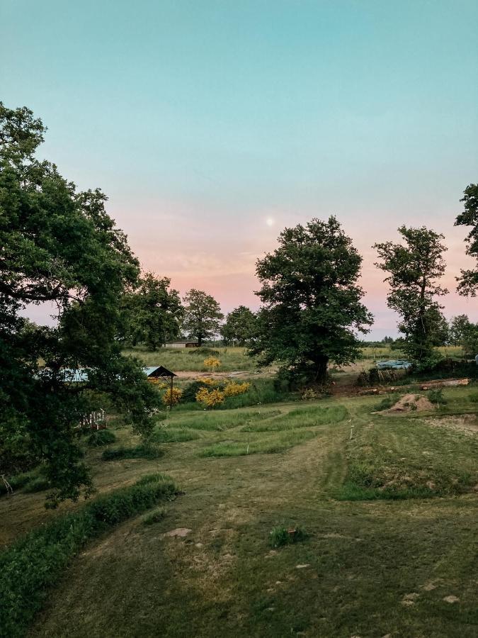 La Ferme Du Pont De Maumy, Cabane Au Bord De L'Etang Et Bain Nordique Busserolles Exteriér fotografie