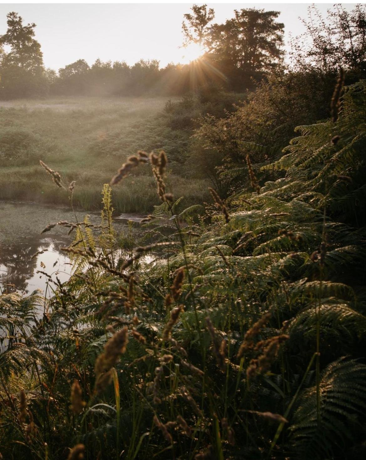 La Ferme Du Pont De Maumy, Cabane Au Bord De L'Etang Et Bain Nordique Busserolles Exteriér fotografie